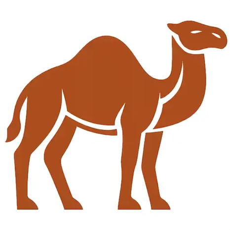 How Many Camels Am I Worth logo