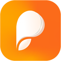 Persuva logo