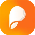 Persuva logo