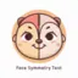 Face Symmetry Test logo