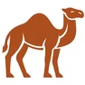 How Many Camels Am I Worth logo