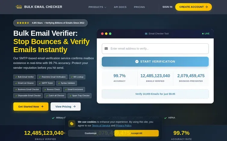 Screenshot of the Bulk Email Checker homepage