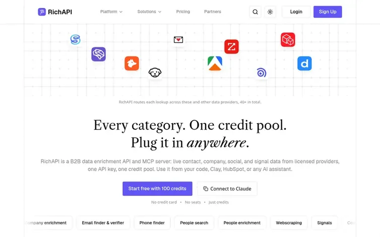 Screenshot of the RichAPI homepage