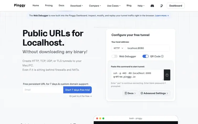 Screenshot of the Pinggy homepage