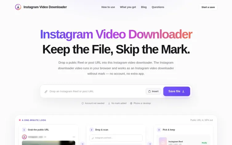 Screenshot of the Instagram Video Downloader homepage