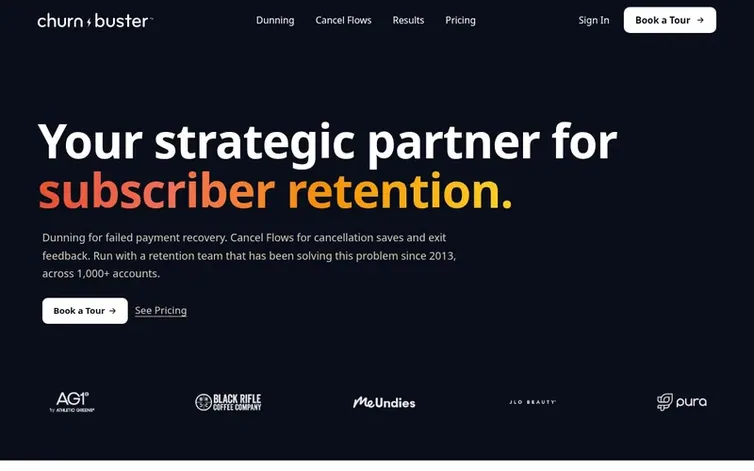 Screenshot of the Churn Buster homepage