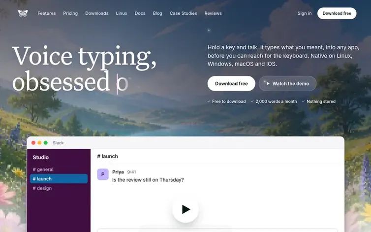 Screenshot of the Vibe Typer homepage