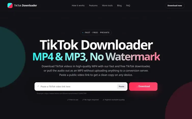 Screenshot of the TikTok Downloader homepage